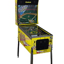 pinball8lg