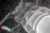afide053D