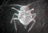 afide123d