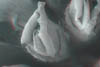 fioreA013D