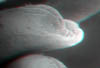 fioreC023D