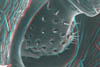 formica033D