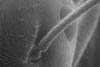 formica04